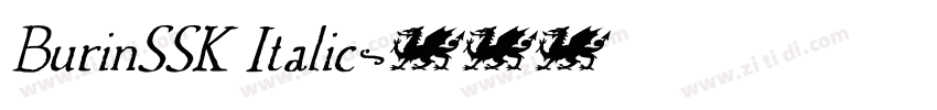 BurinSSK Italic字体转换